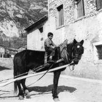 Al caval de Nani Moliner1953